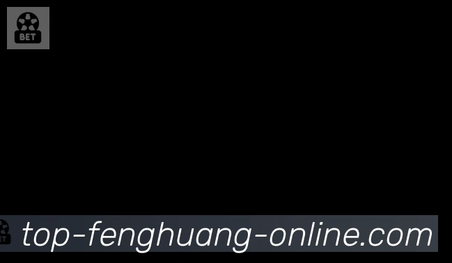 凤凰体育合作伙伴