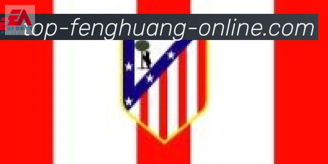 凤凰体育合作伙伴